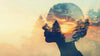 The Alchemy of Earth and Sky: How Colours Are Born and Woven Into Your Story
