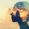The Alchemy of Earth and Sky: How Colours Are Born and Woven Into Your Story